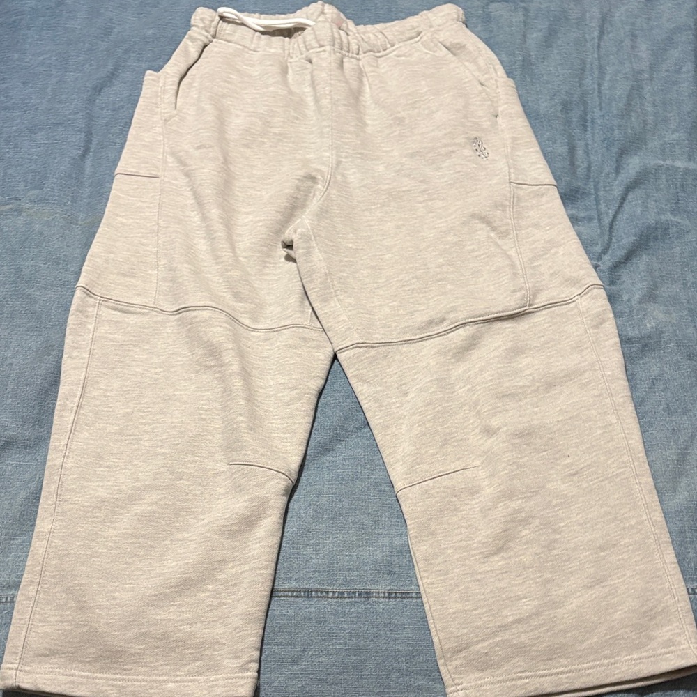 Free People Sweatpants new L
